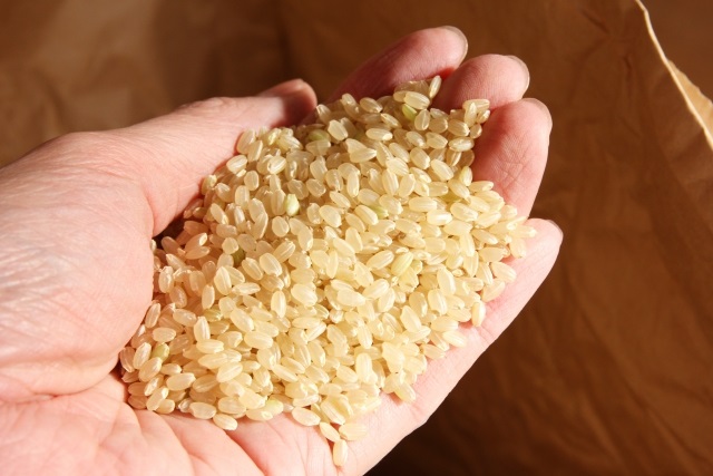 白米と玄米の違いとは？